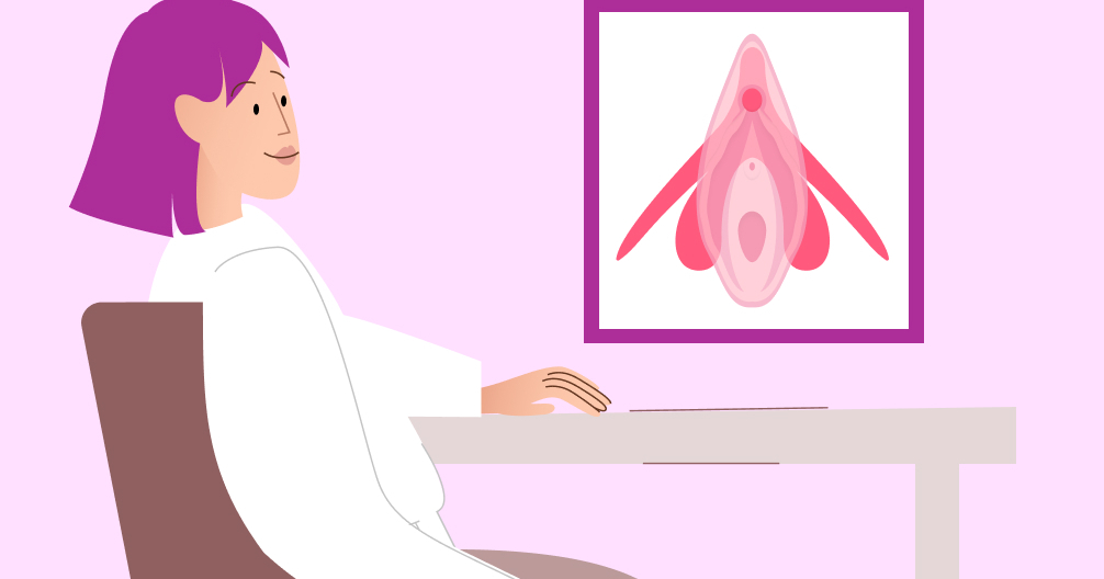 Clitoris anatomy purpose and location with a diagram Flo